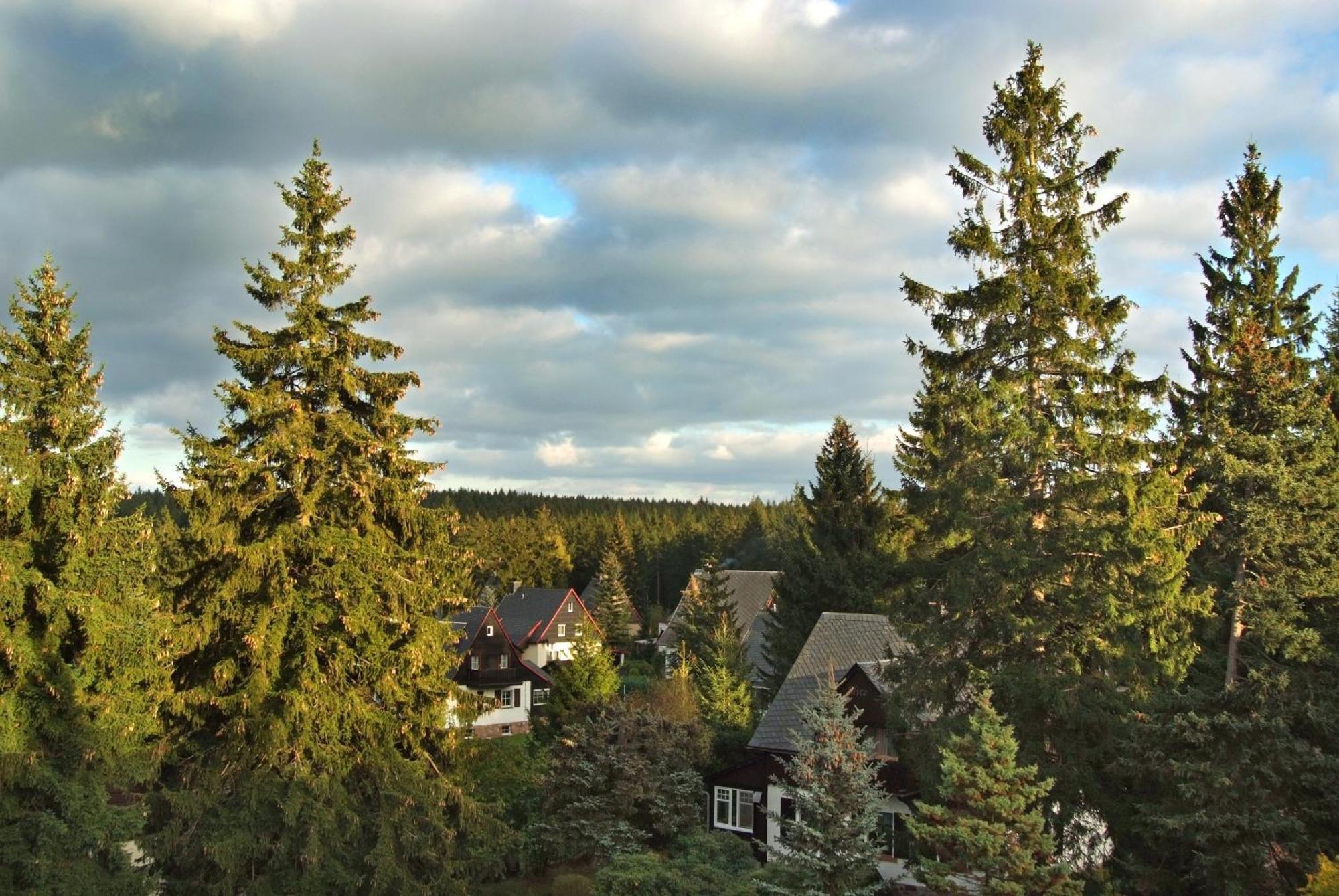 Berghotel Friedrichshoehe Altenberg  Esterno foto